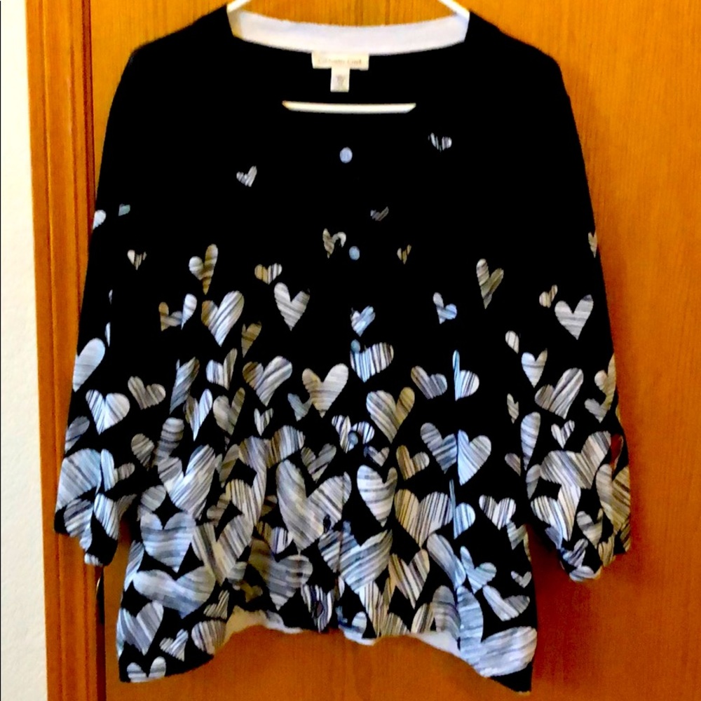 Coldwater Creek lightweight sweater size 1X